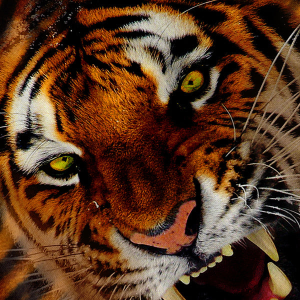 Furious Tiger Look Mens Hoodie