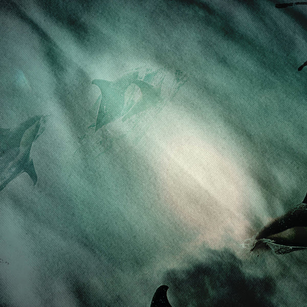 Dolphin Dream Swim Womens Long Sleeve T-Shirt