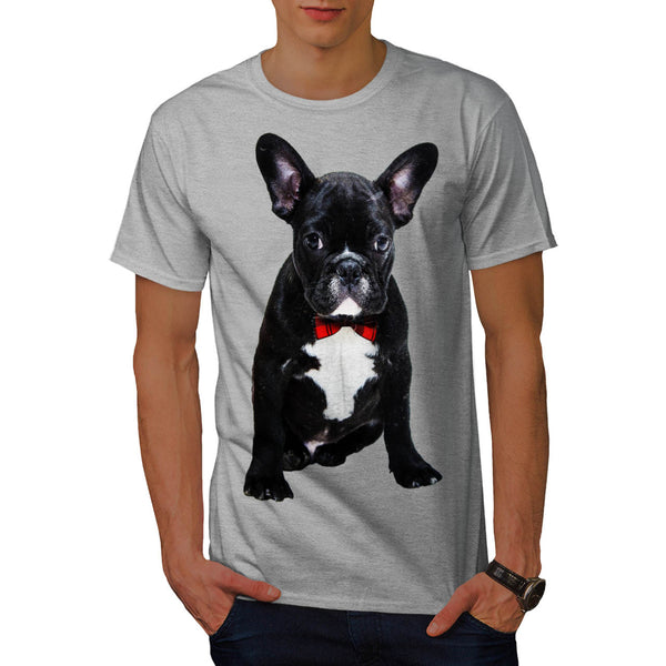 Fancy French Bulldog Mens T-Shirt