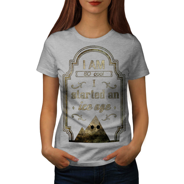 I Started An Ice Age Womens T-Shirt