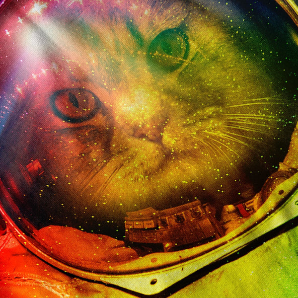 Astronaut Cat Color Mens Hoodie