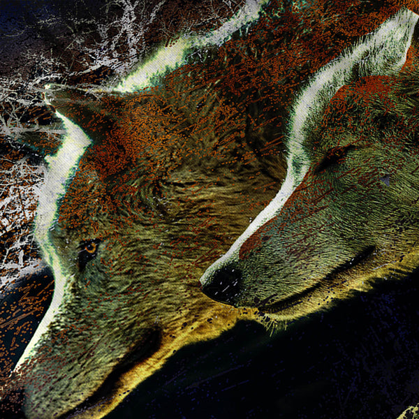 Wild Nature Wolf Pack Mens Hoodie