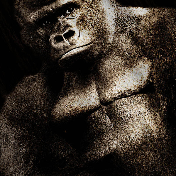 Gorilla Ape Monkey Womens Long Sleeve T-Shirt